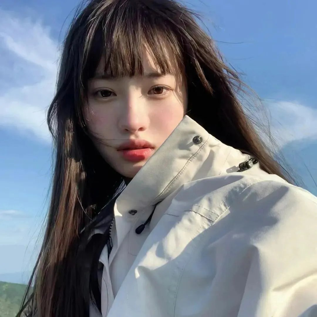 冬森林的秘密